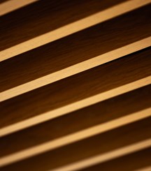 Slatted wooden ceiling detail from a modern office