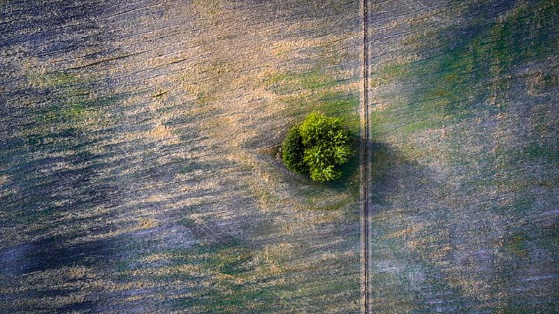 Birdseye view of agricultural field